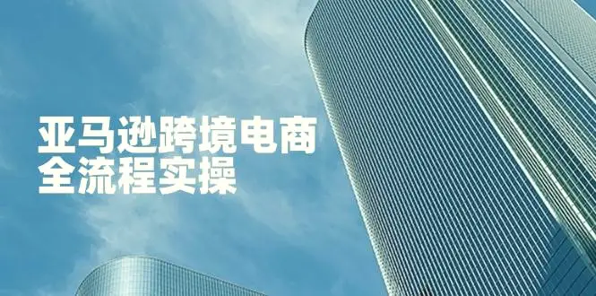 亚马逊跨境电商全流程实操，教你从零开始，掌握店铺运营与广告技巧-臭虾米项目网
